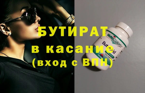 шишки Гусиноозёрск