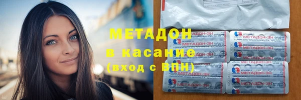 шишки Гусиноозёрск