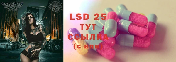 ПСИЛОЦИБИНОВЫЕ ГРИБЫ Гусев