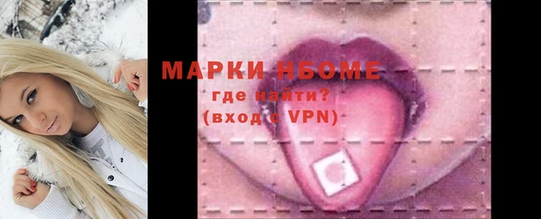 ПСИЛОЦИБИНОВЫЕ ГРИБЫ Гусев