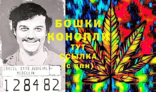 Альфа ПВП Дмитриев