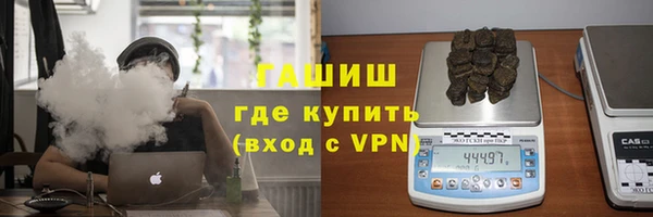 шишки Гусиноозёрск