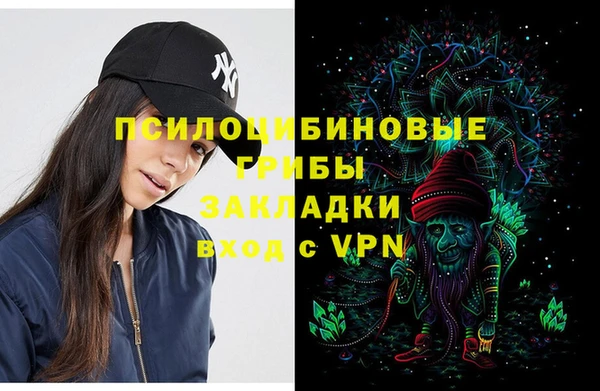 ПСИЛОЦИБИНОВЫЕ ГРИБЫ Гусев