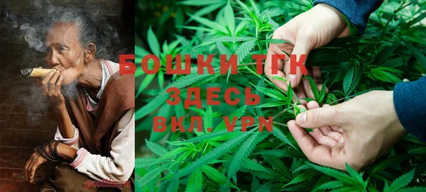 шишки Гусиноозёрск
