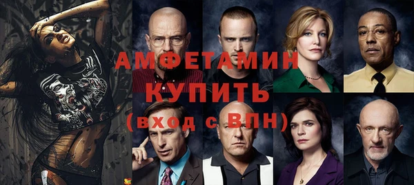 ПСИЛОЦИБИНОВЫЕ ГРИБЫ Гусев