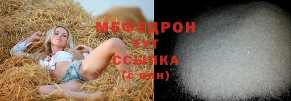 шишки Гусиноозёрск