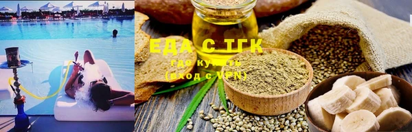 шишки Гусиноозёрск