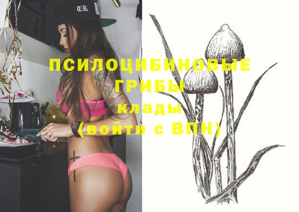 спиды Дмитров