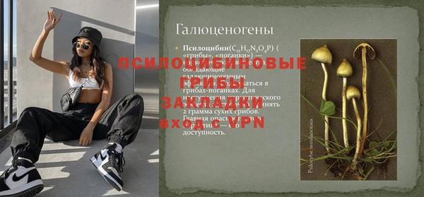Альфа ПВП Дмитриев